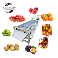 Fruit sorteermachine voor granaatappels, kersentomaten & groenten - sorteerlijn voor fruitverwerkingsbedrijven
