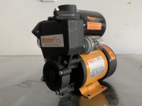 Pompe périphérique auto-amorçante électrique automatique 0,5 CV 220 V avec réservoir sous pression pour usage domestique