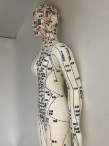 Enseignement médical acupoint <span class=keywords><strong>Acupuncture</strong></span> Femelle Humain Femmes Modèle Image PVC Matériel Maniking enseignement outil d'<span class=keywords><strong>acupuncture</strong></span> - Product Image 5