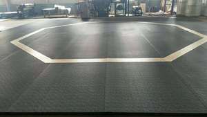 Entraînement de boxe intense de haute qualité, adapté aux combats de championnat de style <span class=keywords><strong>WWE</strong></span> et à la sécurité physique pour tapis de boxe - Product Image 2