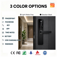 Seguridad Digital para Apartamentos: Cerradura Inteligente para Puerta de Vidrio con WiFi y Control por Aplicación Tuya