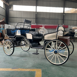 Carruaje de Caballos de Lujo Moderno, Vehículo Eléctrico Real, Nuevo Estilo, Carro de Boda, Carro de Turismo, Carruaje de Caballos en Venta - Product Image 4