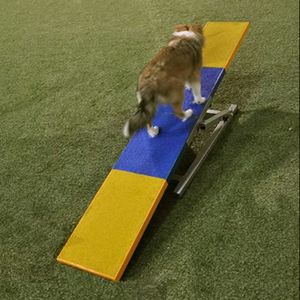 Professionele Hond Wip/Teeter Klimhelling Staal Aangepaste Behendigheidsuitrusting Hond Behendigheid Wip Fci Voor Groothandel - Product Image 1