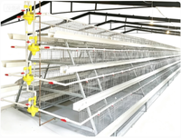 Cage à poules pondeuses de type A à 4 niveaux pour 160 oiseaux, construction en acier galvanisé, longue durée de vie