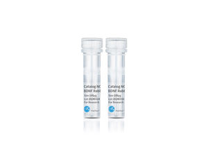 FineTest Asprosin Anticuerpo Probado Aplicación en ELISA IHC WB - Product Image 2