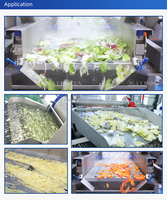 Lonkia Baby Spinazie Sla Kool Fruit En Salade Productielijn Bladgroenten Snijden Wassen En Verpakken Productielijn