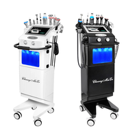Appareil de beauté à microdermabrasion Hydro Crystal 11 en 1, peeling au diamant, jet d'eau oxygénée, peeling Aqua Facial Skin