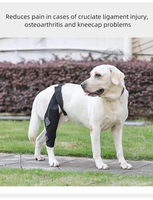 Attelle de rotule à luxation de jambe arrière de chien pour entorse ACL CCL arthrite garde les articulations chaudes et stables pour la formation et le comportement des animaux de compagnie