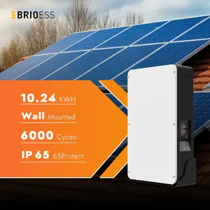 壁挂式太阳能电池10kWh 20kWh可堆叠Heimspeicher电池，96V Lifepo4家用太阳能存储光伏电池