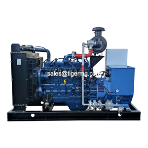 Générateurs silencieux industriels et minières à gaz et GPL de 1 MW, 20 kW, 50 kVA, 100 kW, 120 kW, 200 kW, 200 kVA, 500 kW pour l'énergie renouvelable - Product Image 2