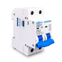 TOMZN 1P 2P DC MCB 6KA 500V Mini Circuit Breaker 3A 6A 10A 16A 20A 25A 32A 40A 50A 63A Sambungan Y
