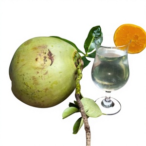 Agua de Coco Fresca de Primera Calidad al Mejor Precio, Pulpa Dulce Natural Pura, para Té de Burbujas y Postres, Grado Sulawesi, 0.2kg - Product Image 1