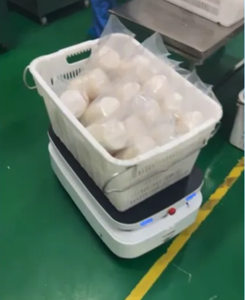 Robot de manutention intelligent 150 kg haute capacité pour la logistique d'usine et l'entrepôt, AGV AMR avec navigation sans rail - Product Image 5