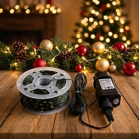 Guirlande lumineuse LED à basse tension en fil de cuivre vert avec télécommande pour la décoration de l'arbre de Noël, des mariages et des fêtes