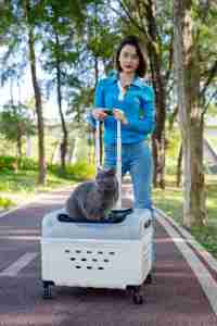 Chariot de luxe pour chien transportant un chariot de transport pour animaux de compagnie étui <span class=keywords><strong>à</strong></span> <span class=keywords><strong>roulettes</strong></span> sac de voyage <span class=keywords><strong>pliant</strong></span> multi-usages transportant un sac de transport pour animaux de compagnie - Product Image 5