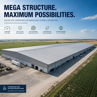 Almacén de Estructura de Acero para Almacenamiento de Granos a Granel, a Prueba de Humedad, Prefabricado, con Alta Ventilación, para Granjas