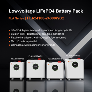 Batterie LiFePO4 Felicitysolar FLA24200WG2 3,84 kW 24 V 200 Ah 5 kWh avec double communication (RS485/CAN) pour stockage d'énergie résidentiel - Product Image 2