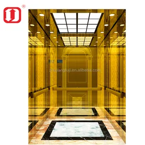 중국 ZhuJiangFuji 제조 업체 도매 최고의 빌라 주거 작은 엘리베이터 5 사람