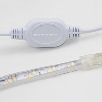 Bande lumineuse LED personnalisée AC110/220V avec prise US/EU/UK/SAA, accessoires 2-4 broches, 2A 4A 8A 15A 20A 100W 1000W 2000W