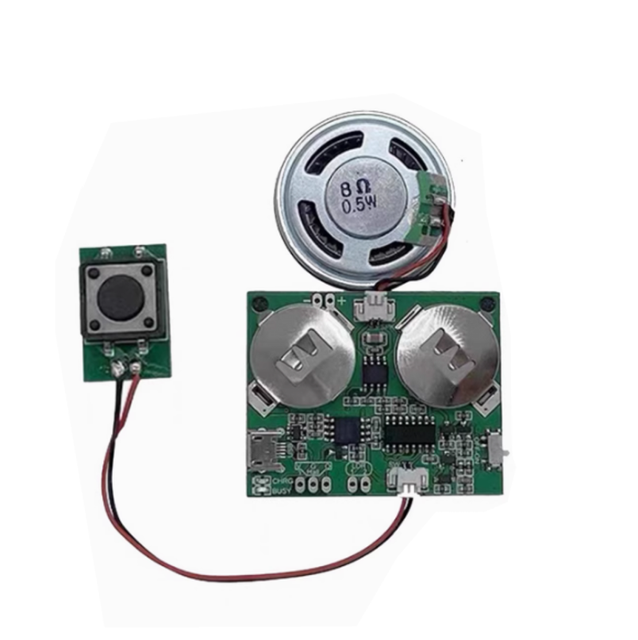Programmable Sound Module for Music Greeting Card/USB Programmable Sound Tongue Sliding Module for Music Greeting Card