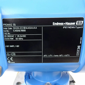 Medidor de Flujo Endress Hauser Proline Promag P 300 5P3B 5P3B15 5P3B25 5P3B32 5P3B40 5P3B50 5P3B65 5P3B80 5P3B1H OEM - Product Image 2