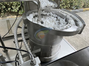 High Productivity Automatic Electric Eye Dropper Bottle Filling Machine CE Certified Plastic/Glass <b>Small</b> Bottles Eyedrops - Product Image 5