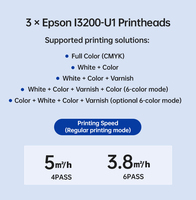 Impresora UV Plana 6090 de 3 Cabezales para Impresión de Etiquetas 3D en TPU, para Parches de Logotipos en Camisetas de TPU 3D