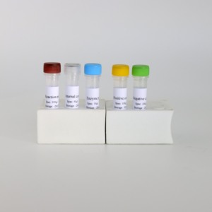 Bộ pcr huỳnh quang độ nhạy cao cho <span class=keywords><strong>Mycoplasma</strong></span> hyopneumoniae ở lợn-Kết quả nhanh chóng - Product Image 5