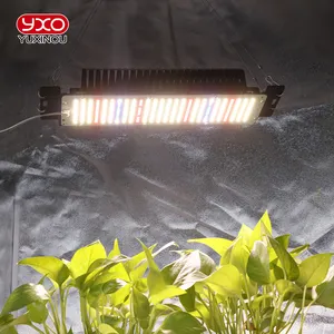 Latest indoor hydroponic LM281B 50w grow light 3000k5000k full spectrum LED grow light