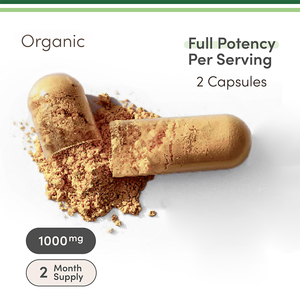 Özel etiket mantar kapsülleri Hericium mantar kapsülleri takviyesi Reishi özü <span class=keywords><strong>Cordyceps</strong></span> aslan Mane mantar kapsülleri - Product Image 2