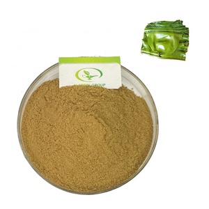 Extracto de Algas Kelp en Polvo, Fucoidan, Calidad Confiable, Venta Caliente, GMP - Product Image 1