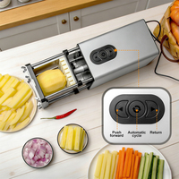 OEM Automatische RVS Fritesnijder voor Aardappel, Wortel, Ui, Komkommer, geschikt voor kleine cateringbedrijven