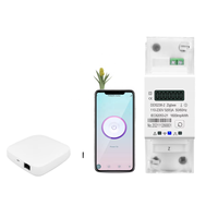 Zigbee Gateway Tuya monophasé 65A Din Rail compteur d'énergie intelligent WIFI 110V 220V 50/60Hz kWh wattmètre LI minuterie moniteur