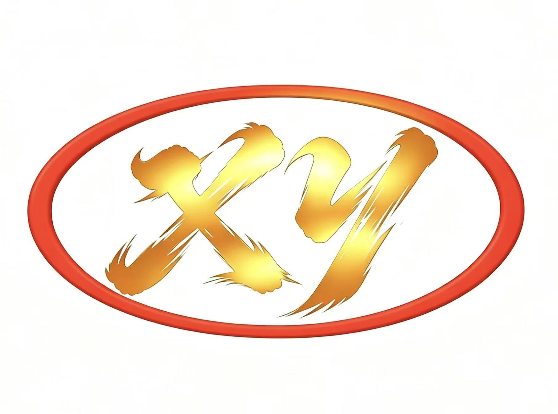 Shenzhen Xinya Electronics Co., Ltd.