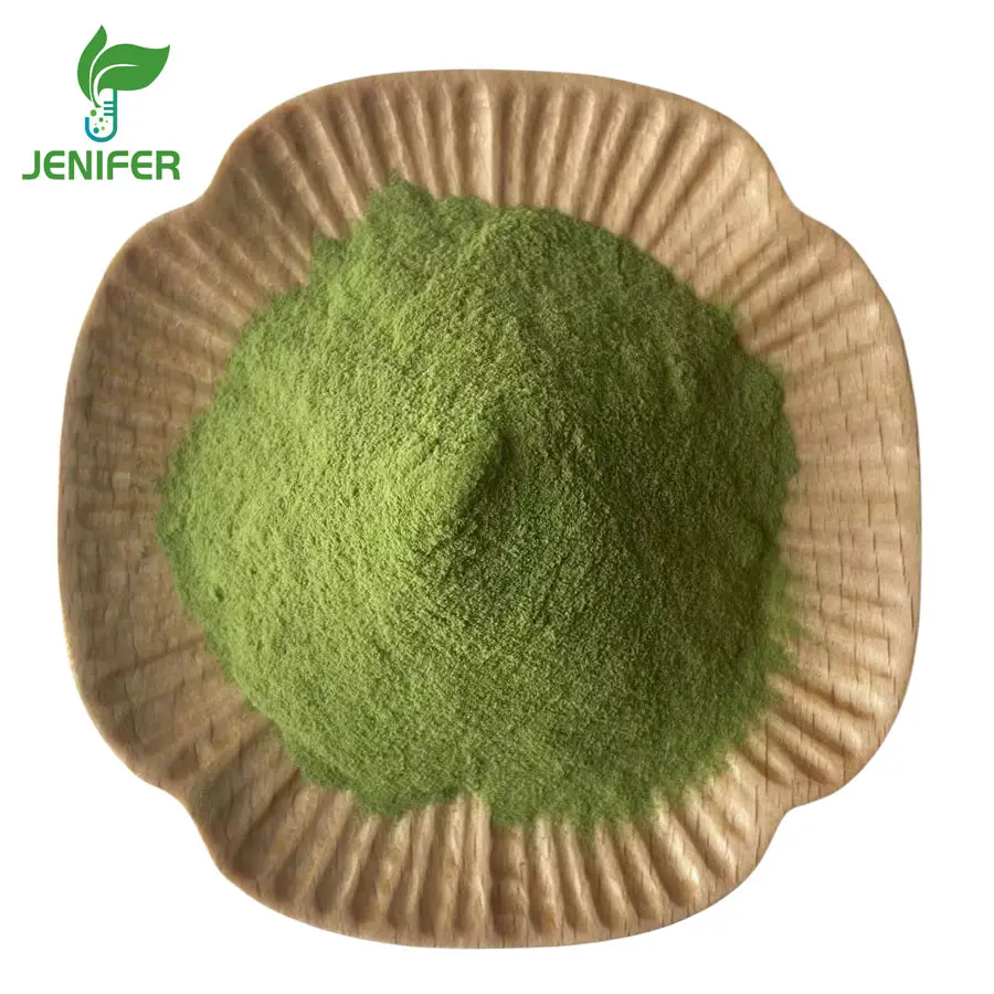 Loss Weight Green wheat in bulk manufacture barley grass powder