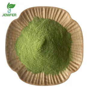 Pérdida de peso Trigo verde a granel, polvo de hierba de cebada