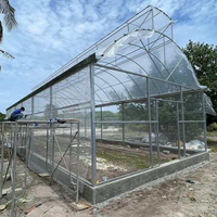 Serre agricole et commerciale extérieure à structure métallique monopente, couverte de PE, 6x15m, avec système de ventilation et toit parapluie