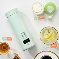Tasse chauffante en acier inoxydable 450ML bouilloire chauffe-eau bouteille Portable voyage tasse électrique