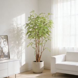 ต้นไม้ประดิษฐ์ทรงสวยงาม สูง 170 ซม. รูปทรงต้นจาบูติคาบา ตกแต่งบ้าน สำนักงาน โรงแรม สไตล์โมเดิร์น ต้นไม้เทียมสีเขียวอมเขียวตลอดปี พร้อมลำต้นที่ดูเป็นธรรมชาติ - Product Image 1