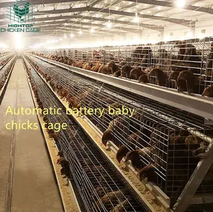Hightop A Type Automatic Baby Chick Chicken Cage Brooder Cage Day Old Chick Battery Pullet Cage