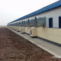 Conception de bâtiment d'élevage porcin préfabriqué en structure métallique pour l'élevage de porcs