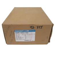 Plc ASHCROFT 1GA38906-014 GAO Convient pour 30-30-0 PSI NSMP Approvisionnement en vrac