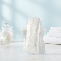 Ensemble de protège-slips et serviettes hygiéniques pour une hygiène intime féminine complète toute la journée