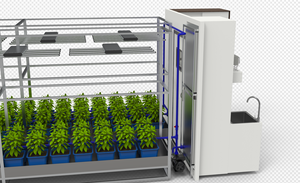 UNO-uno Sistema de germinación de hierba forrajera automática Granja de contenedores hidropónicos para forraje - Product Image 4