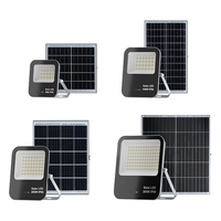 Fabricante de Iluminación Comercial, Lámpara Solar de Seguridad con Ahorro de Energía, 60W 100W 200W 300W, IP66 Impermeable con Control Remoto