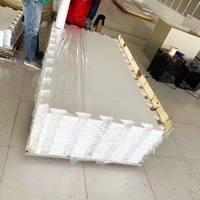 Plaques de glace synthétique UHMWPE de haute qualité ZSPE, panneaux de glace artificielle HDPE, dalles de glace synthétique, patinoires