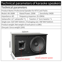 Système d'équipement audio professionnel pour karaoké à domicile, ensemble de haut-parleurs KTV, microphone sans fil, USB, TB
