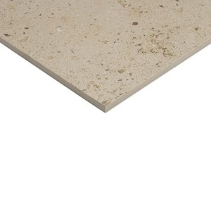 Baldosas de gres porcelánico Evora color crema, 59.2 x 59.2 cm, 8 mm, acabado mate, rectificadas, para suelo y pared - Product Image 2