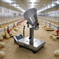 Báscula Digital de Grado Agrícola para Aves de Corral con Controlador Transparente para Uso Comercial en Granjas Avícolas y Pesaje de Aves Vivas