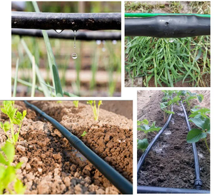 Système d'irrigation goutte à goutte de haute qualité 1/2 "tuyau d'irrigation goutte à goutte en PE pour l'irrigation goutte à goutte - Product Image 4